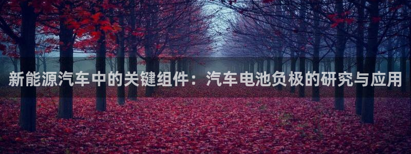 优发国际是大平台吗知乎：新能源汽车中的关键组件：汽车电池负极的研究与应用