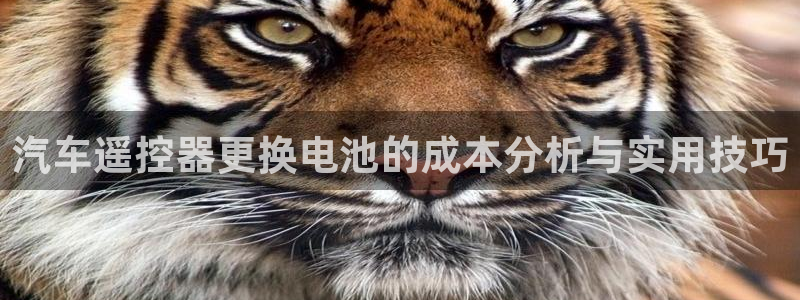 优发国际官方网手机版下载安装：汽车遥控器