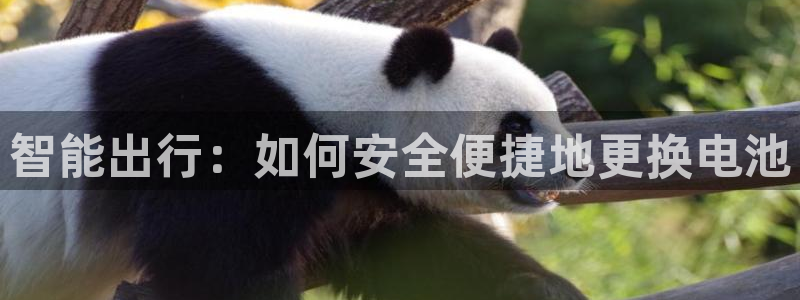 优发国际客服联系方式是什么