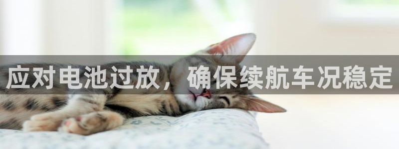 优发国际手机客户端怎么下载