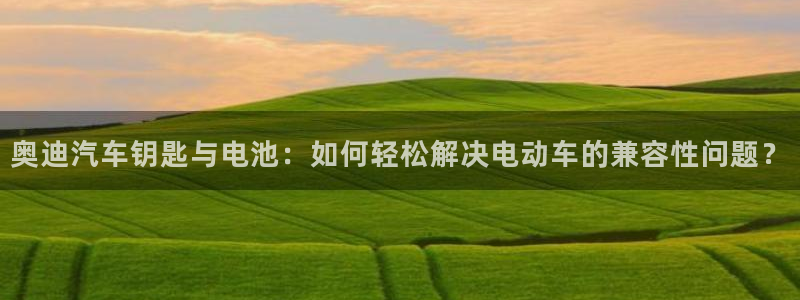 优发国际免费游戏下载：奥迪汽车钥匙与电池
