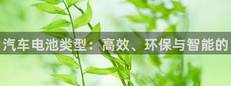 优发国际登录r8
