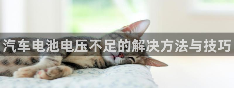 优发国际这个平台怎么样