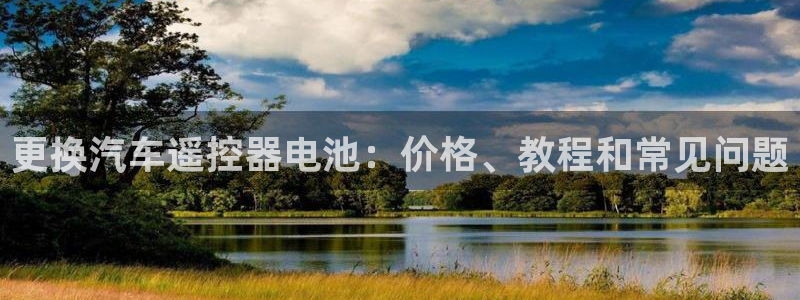 优发国际是大平台吗是真的吗：更换汽车遥控器电池：价格、教程和常见问题