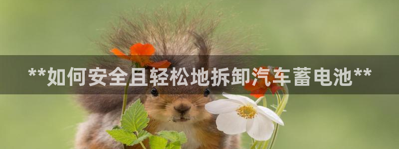 优发国际平台网站：**如何安全且轻松地拆卸汽车蓄电池**