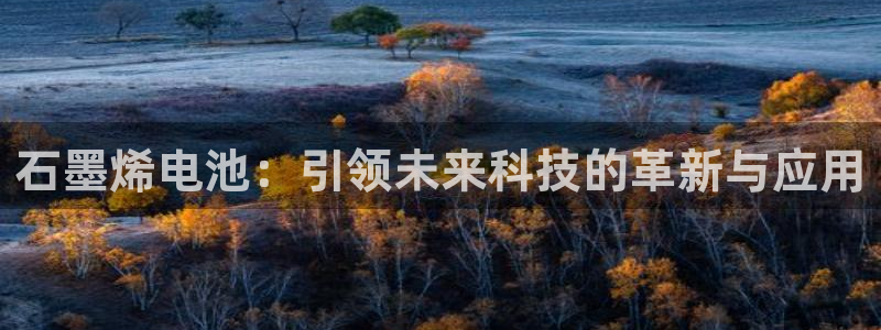 优发国际手机版网站：石墨烯电池：引领未来科技的革新与应用