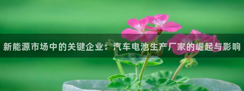 优发国际平台u8是什么软件