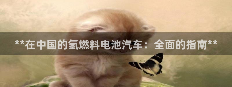 优发国际官网手机版下载：**在中国的氢燃料电池汽车：全面的指南**